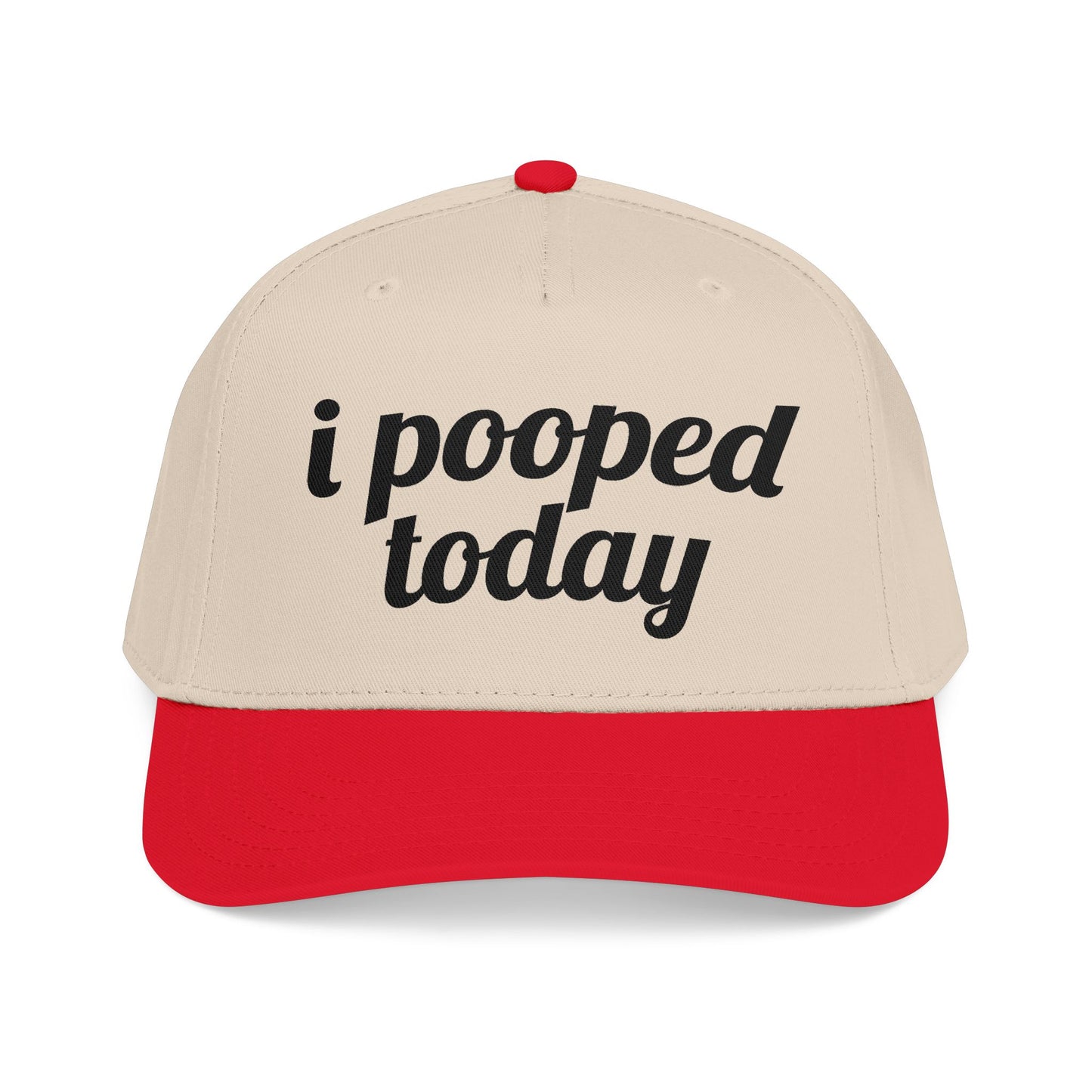 i pooped today Vintage Hat!