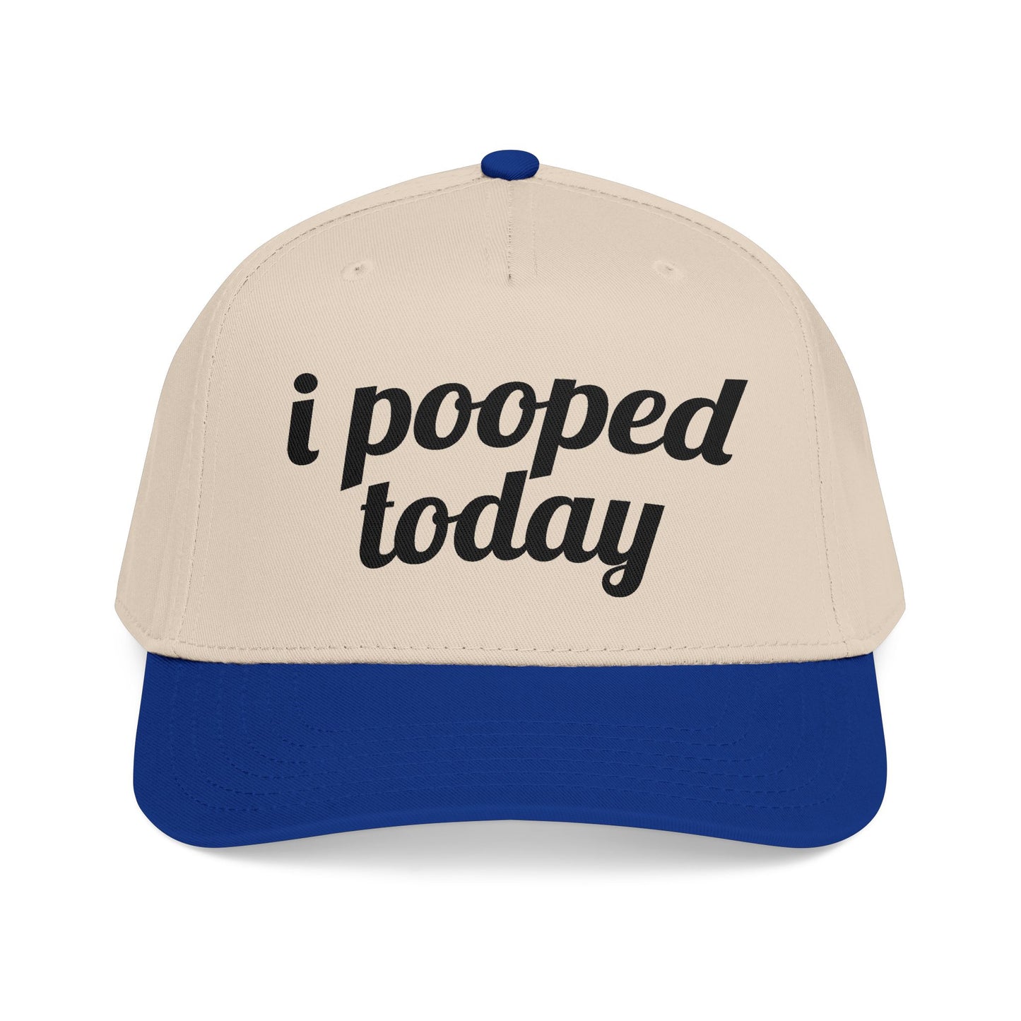 i pooped today Vintage Hat!